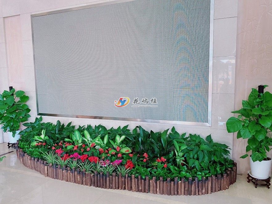 宁波余姚企业大厅显示屏组合花卉绿植摆放